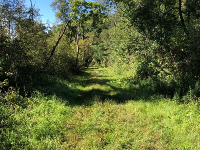 PEC Laurel Ridge-Forbes - Blair Bros. rail grade. Off of Mt. Streams Trail near Jones Mills.