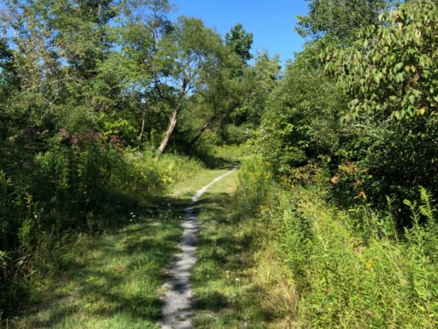 PEC Laurel Ridge-Forbes - Indian Creek rail trail. This takes you to Fowl Road.