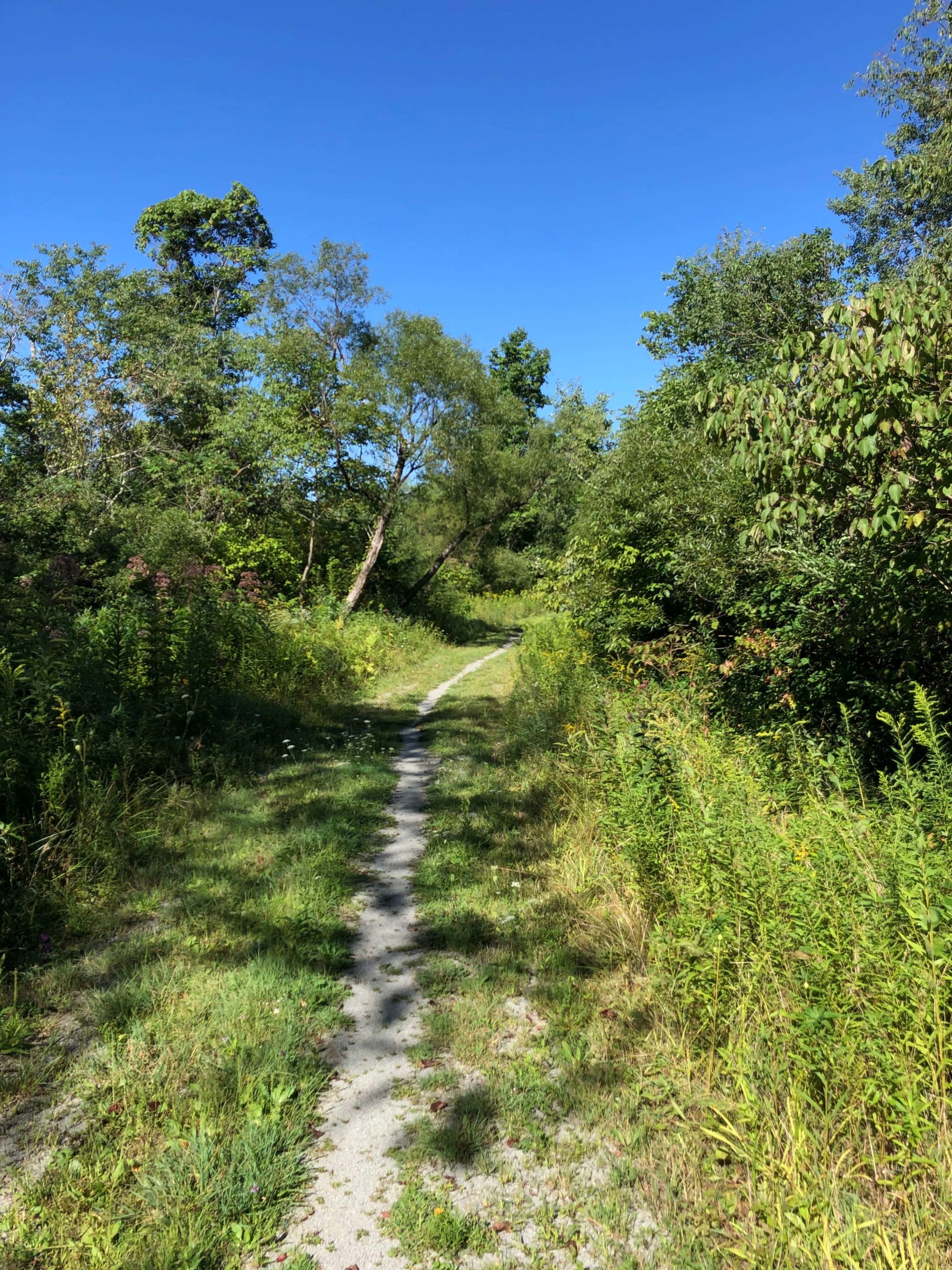 PEC Laurel Ridge-Forbes - Indian Creek rail trail. This takes you to Fowl Road.