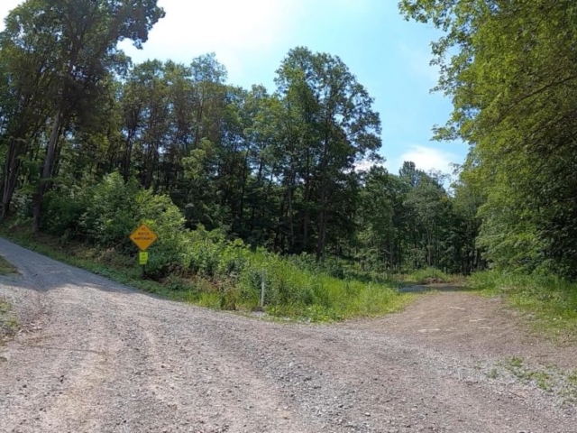 PEC Laurel Ridge-Forbes - Dahl Road - the start of the death march climb.