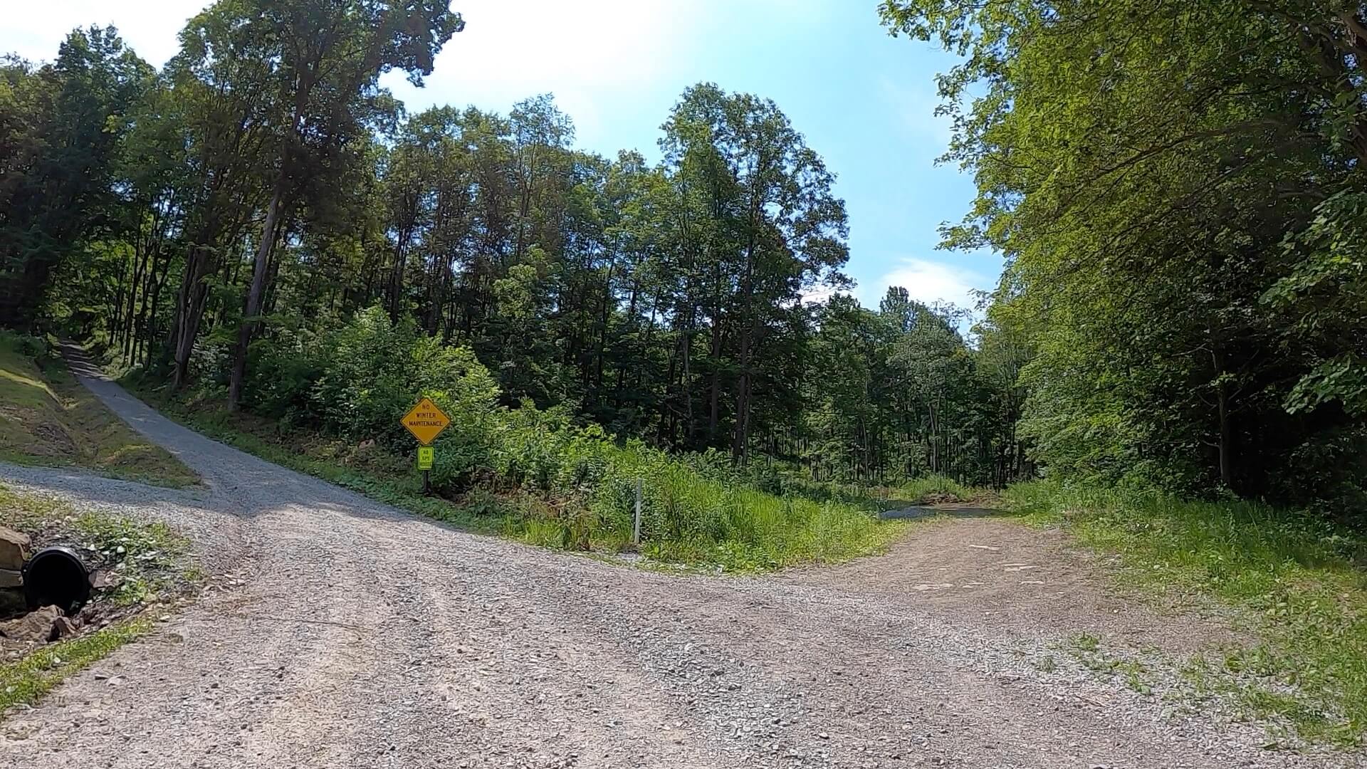 PEC Laurel Ridge-Forbes - Dahl Road - the start of the death march climb.