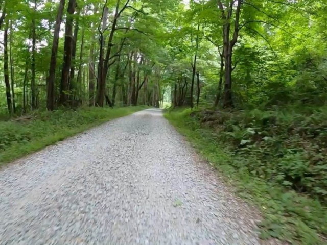 PEC Laurel Ridge-Forbes - Freshly graveled road just after the death march climb.