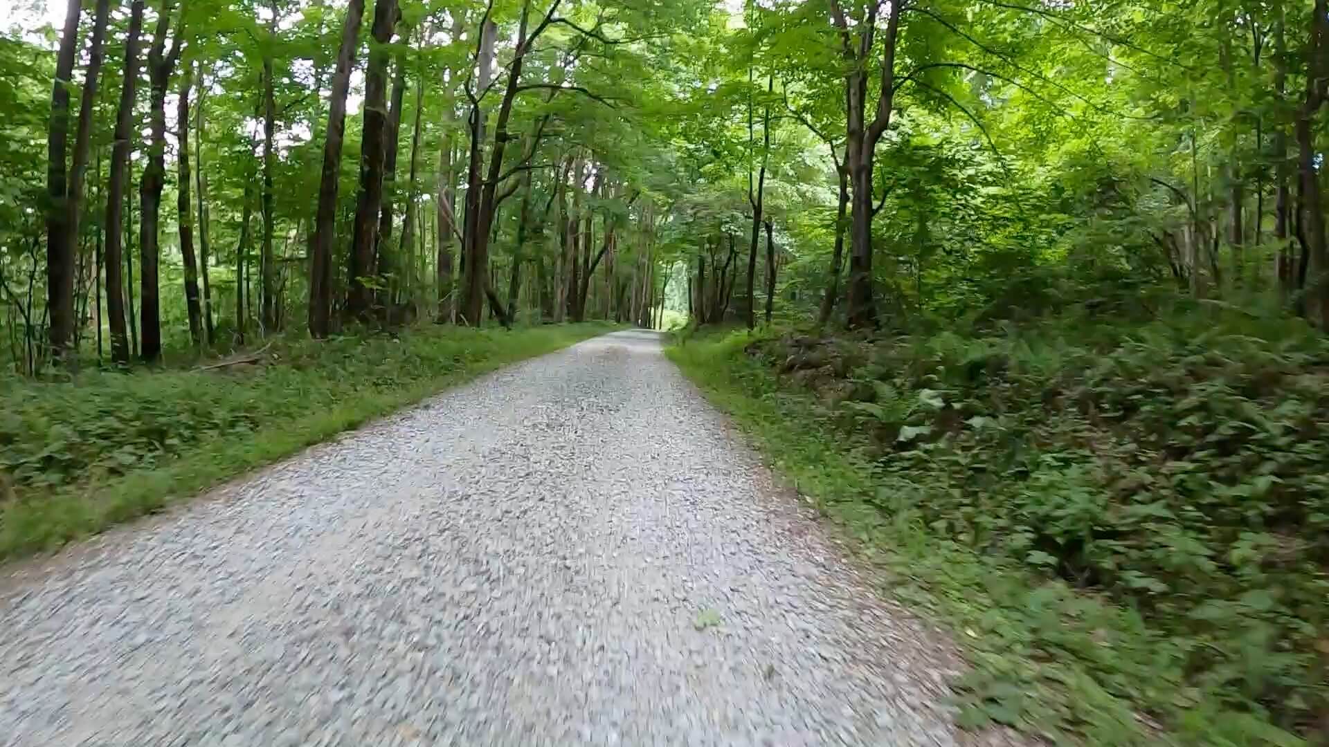 PEC Laurel Ridge-Forbes - Freshly graveled road just after the death march climb.