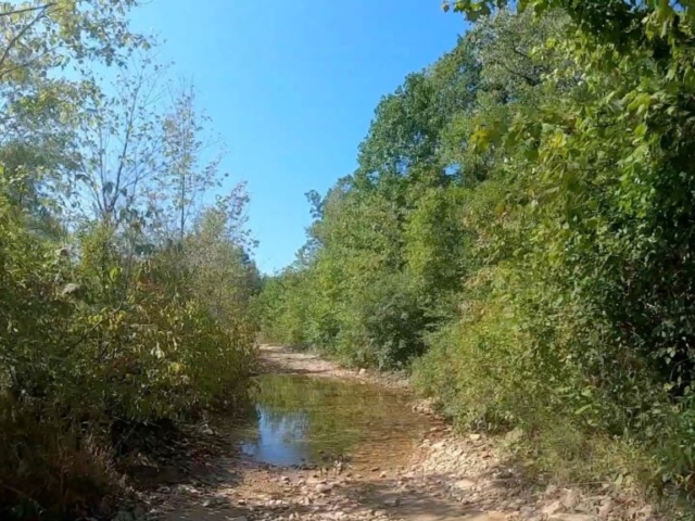 Public Lands Ride -2020 - Black Moshannon-Moshannon State Forest Route #10