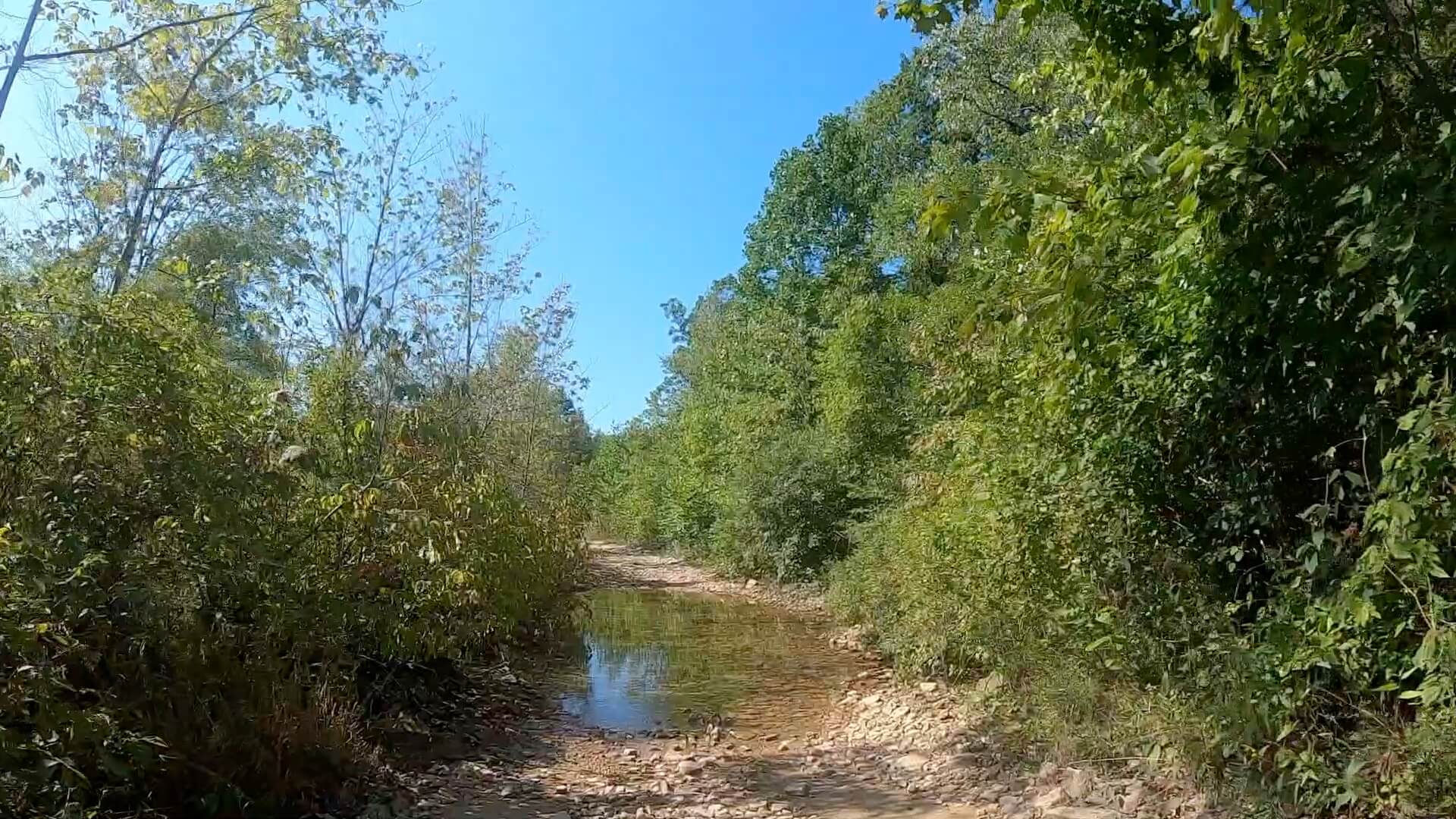 Public Lands Ride -2020 - Black Moshannon-Moshannon State Forest Route #10