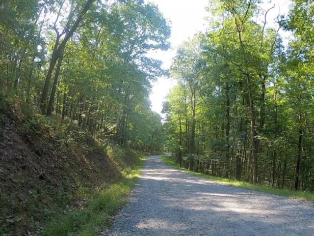 Public Lands Ride -2020 - Black Moshannon-Moshannon State Forest Route #11