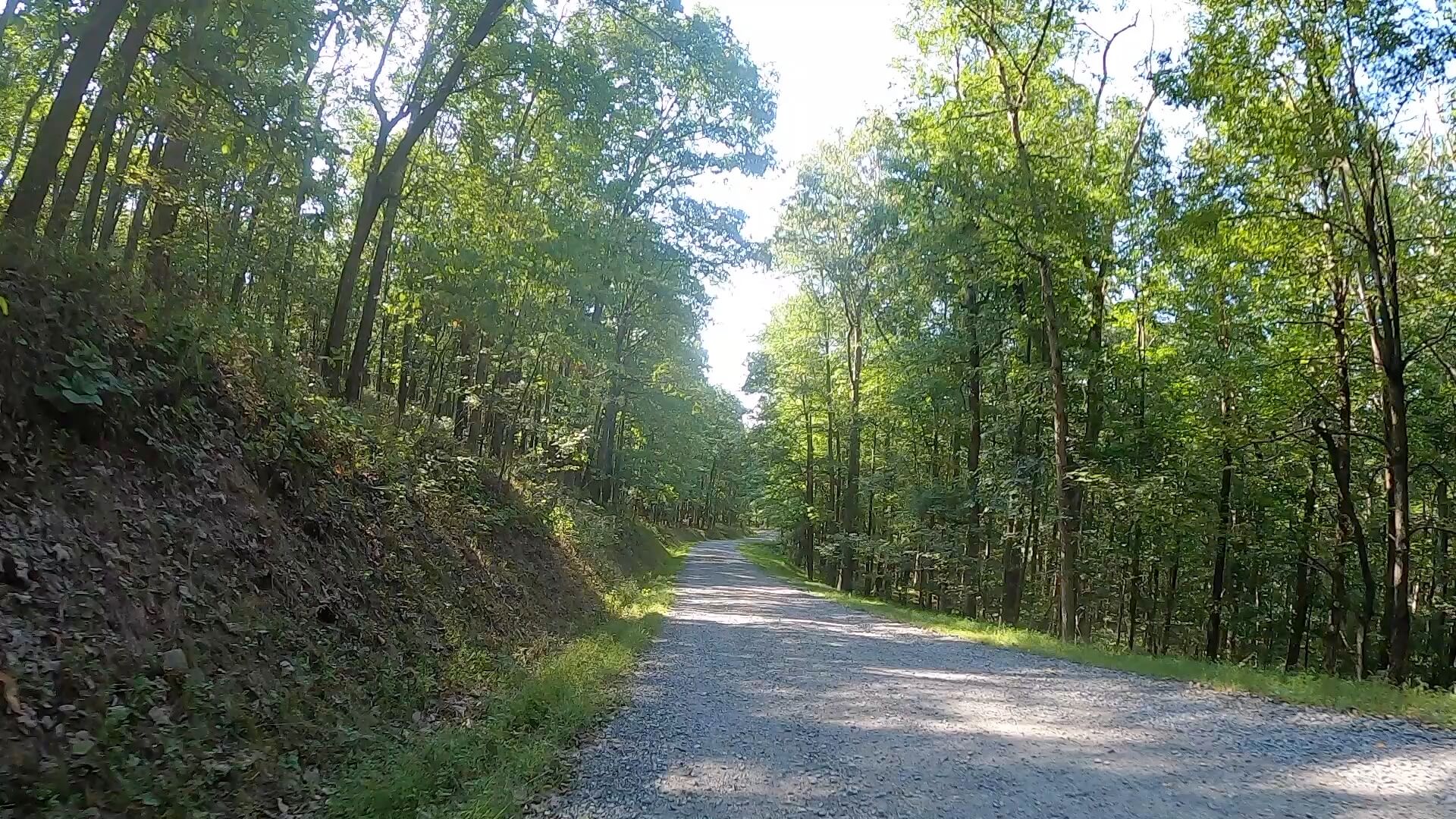 Public Lands Ride -2020 - Black Moshannon-Moshannon State Forest Route #11