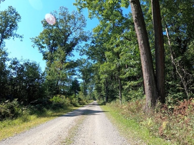 Public Lands Ride -2020 - Black Moshannon-Moshannon State Forest Route #2