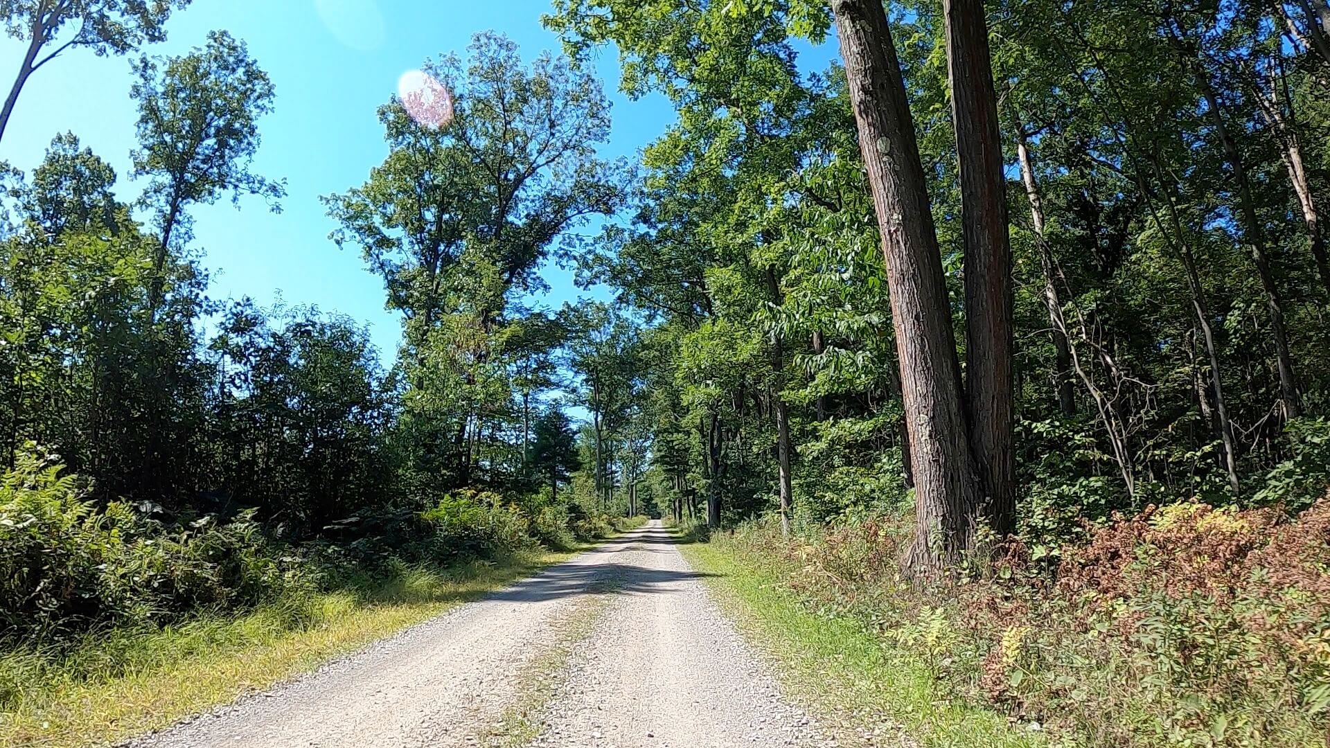 Public Lands Ride -2020 - Black Moshannon-Moshannon State Forest Route #2