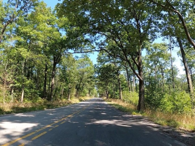 Public Lands Ride -2020 - Black Moshannon-Moshannon State Forest Route #3