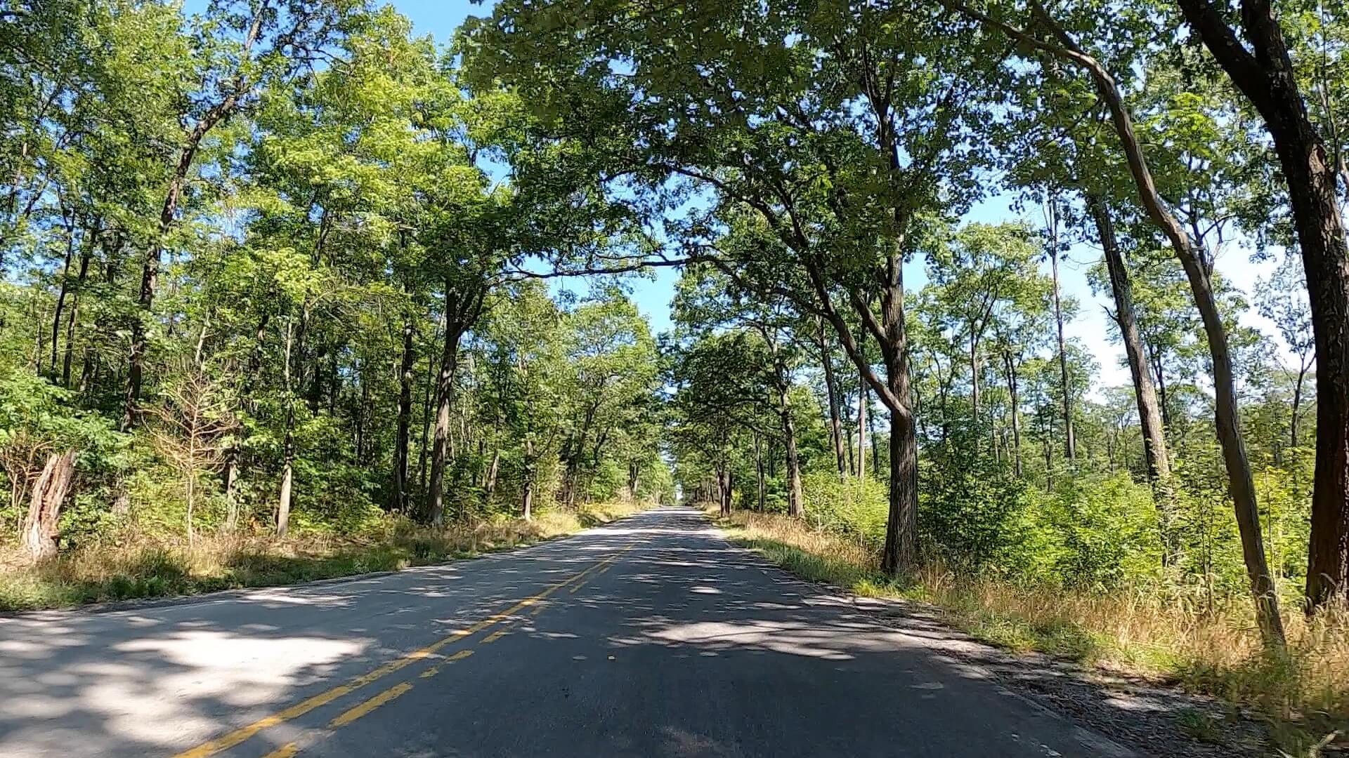 Public Lands Ride -2020 - Black Moshannon-Moshannon State Forest Route #3