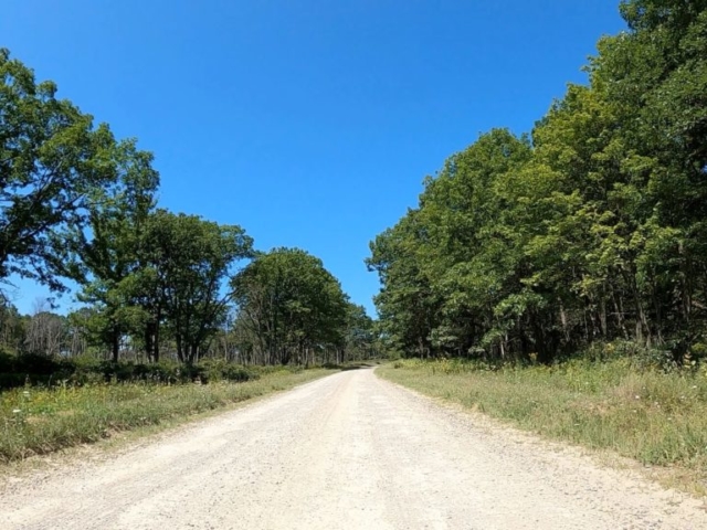 Public Lands Ride -2020 - Black Moshannon-Moshannon State Forest Route #4