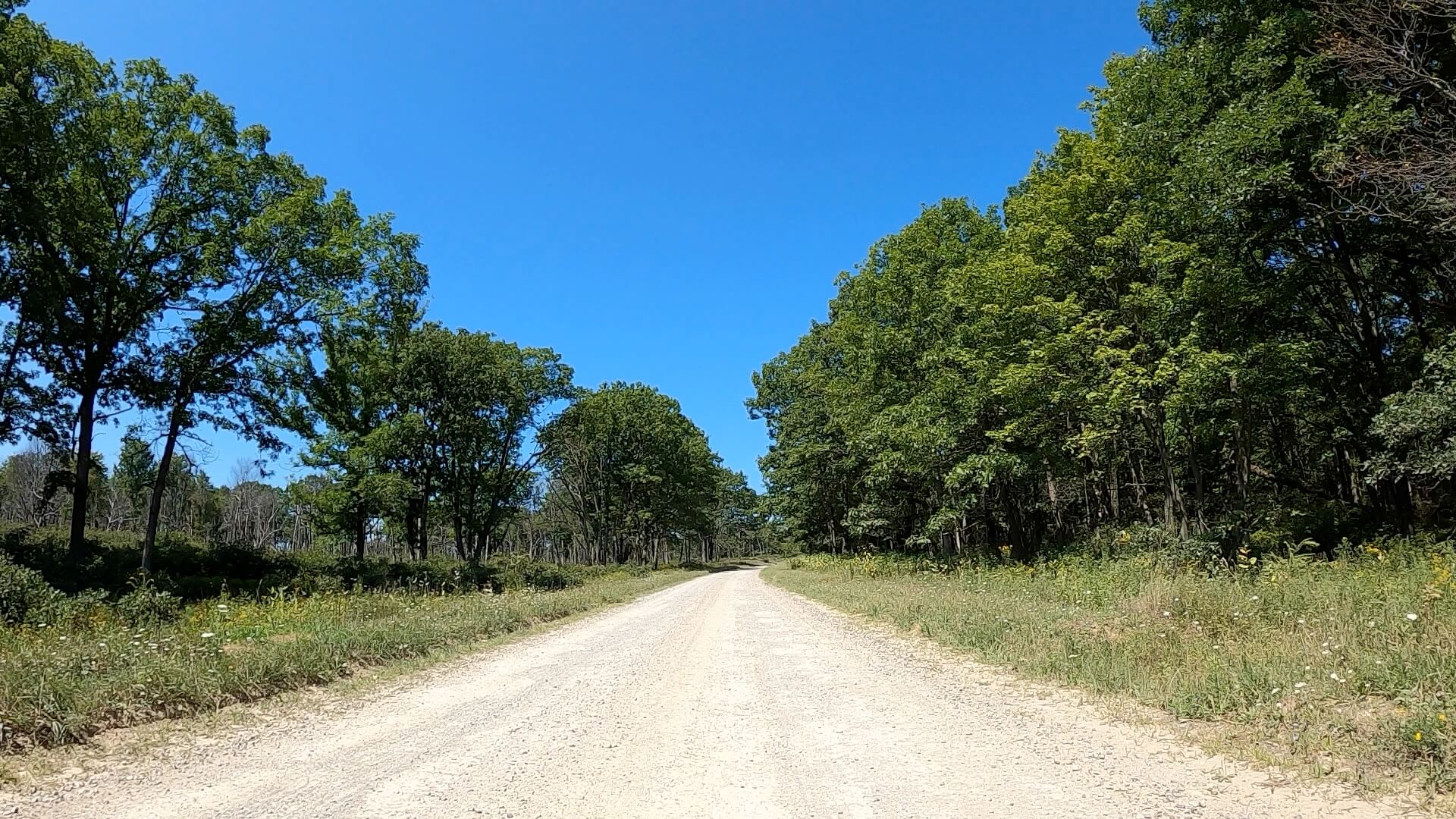 Public Lands Ride -2020 - Black Moshannon-Moshannon State Forest Route #4