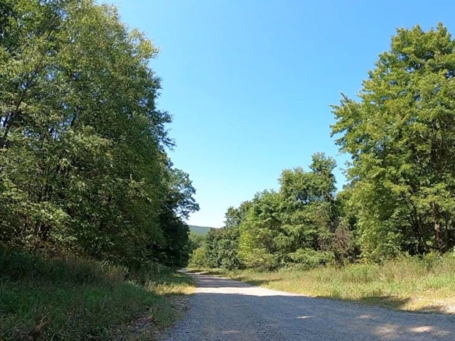 Public Lands Ride -2020 - Black Moshannon-Moshannon State Forest Route #6