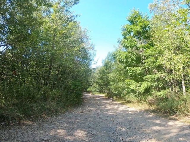 Public Lands Ride -2020 - Black Moshannon-Moshannon State Forest Route #8