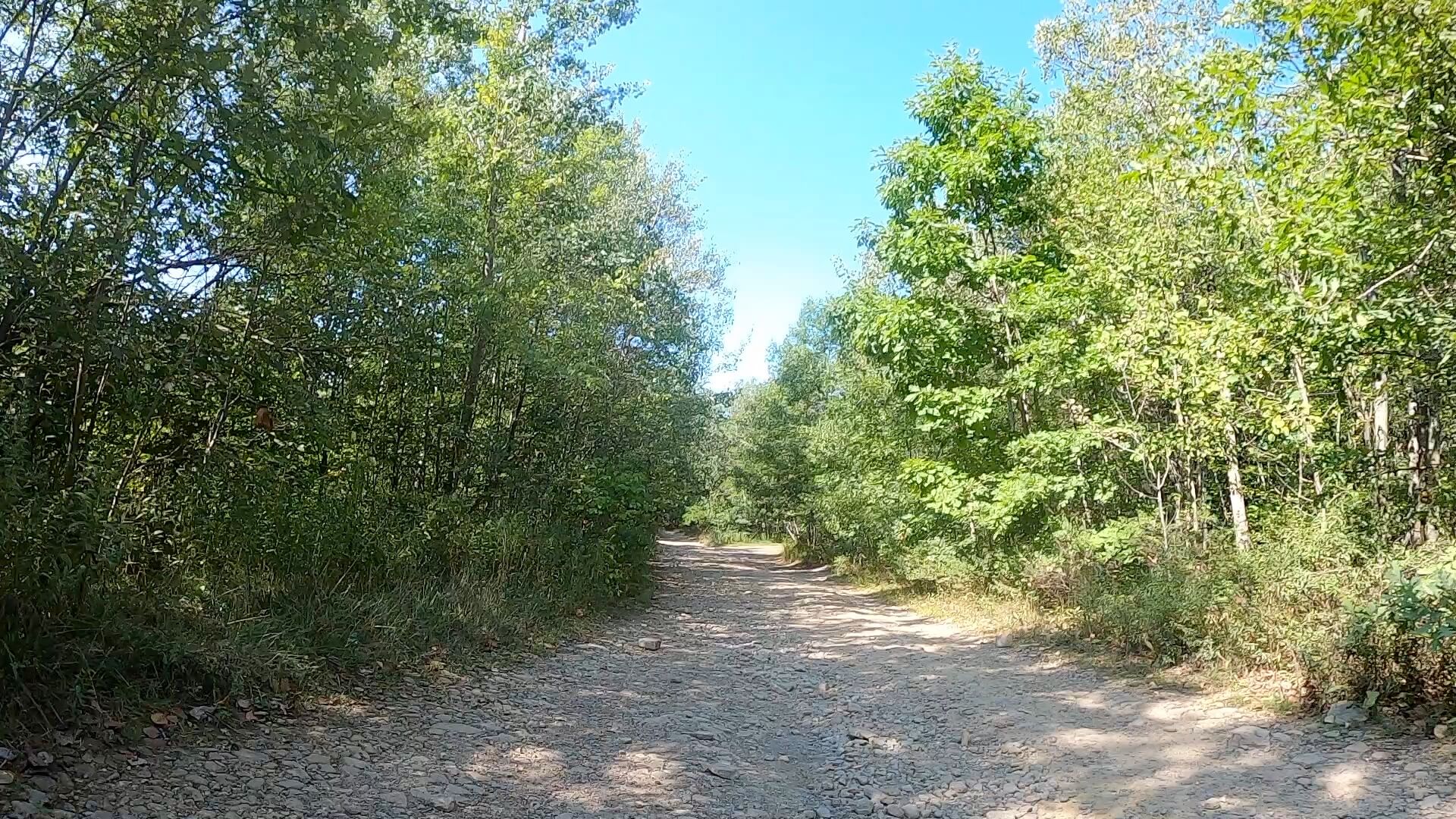 Public Lands Ride -2020 - Black Moshannon-Moshannon State Forest Route #8