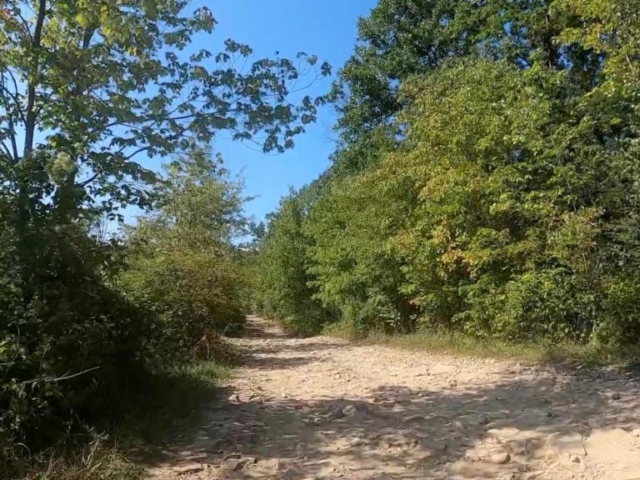 Public Lands Ride -2020 - Black Moshannon-Moshannon State Forest Route #9