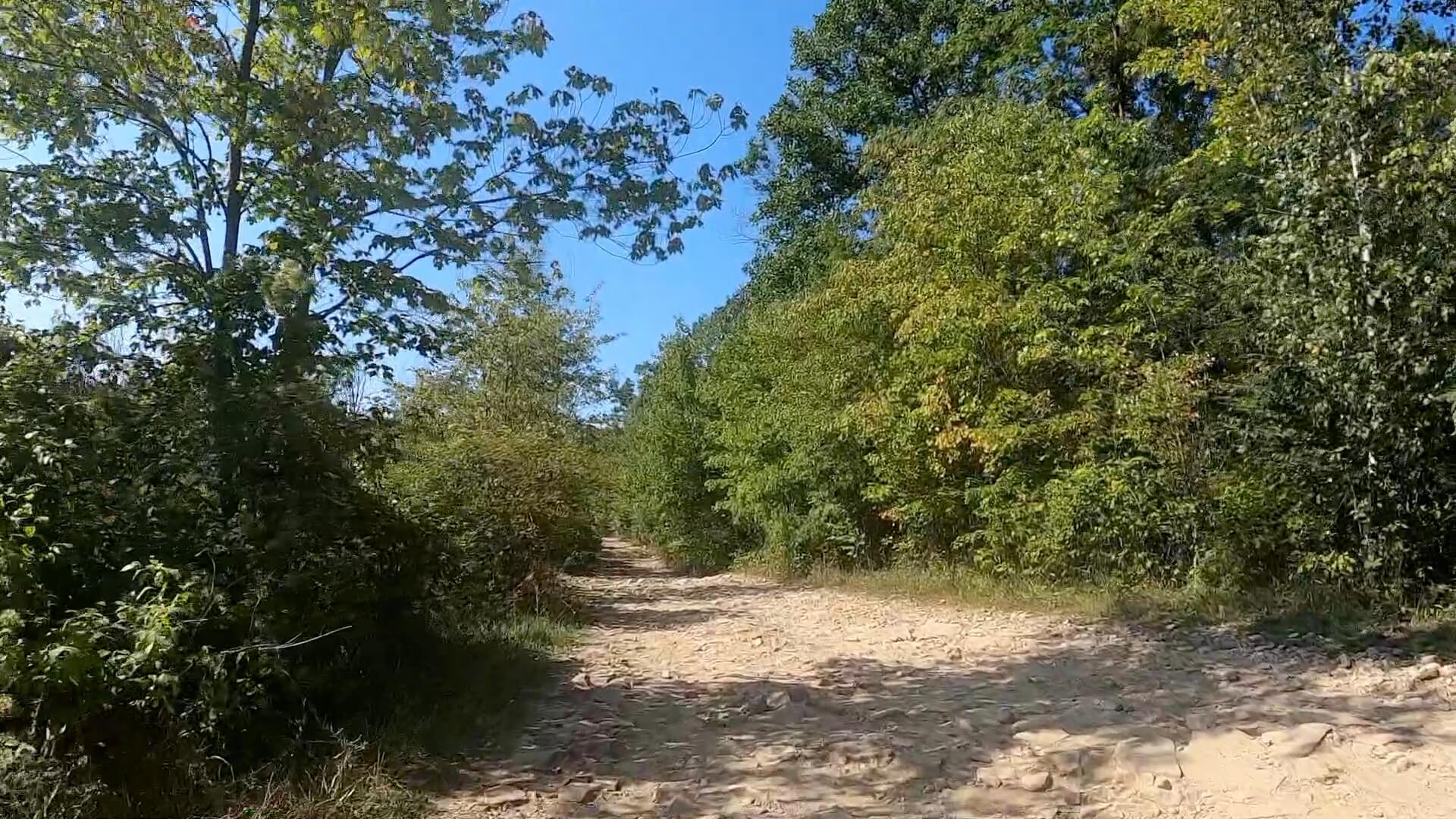 Public Lands Ride -2020 - Black Moshannon-Moshannon State Forest Route #9