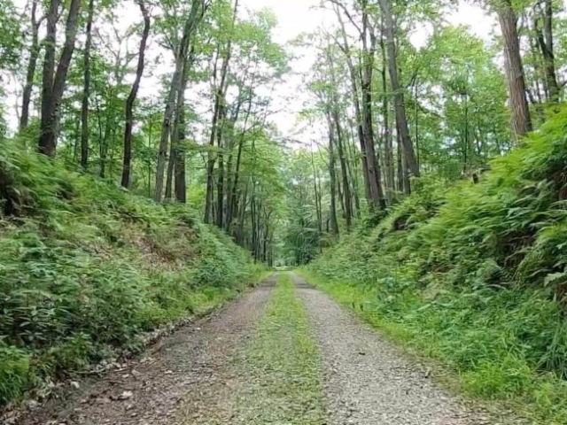 Laurel Highlands Gravel Routes Collection - PWS Trail