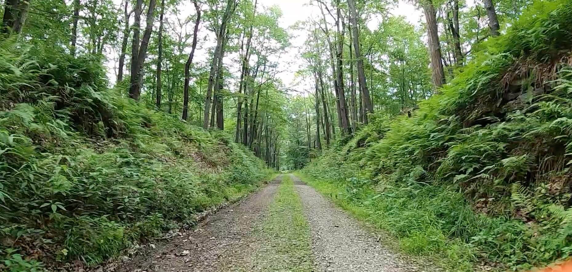Laurel Highlands Gravel Routes Collection - PWS Trail