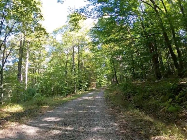 Public Lands Ride - 2020 - Parker Dam State Park-Moshannon State Forest Route Terrain #1