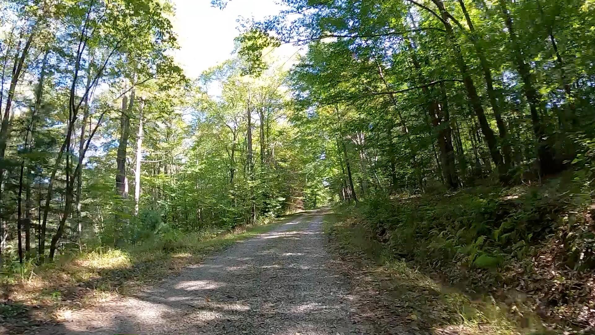 Public Lands Ride - 2020 - Parker Dam State Park-Moshannon State Forest Route Terrain #1