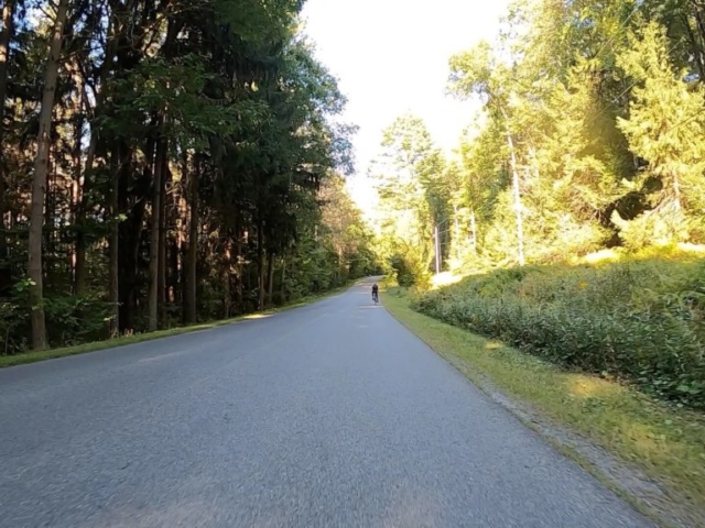 Public Lands Ride - 2020 - Parker Dam State Park-Moshannon State Forest Route Terrain #10