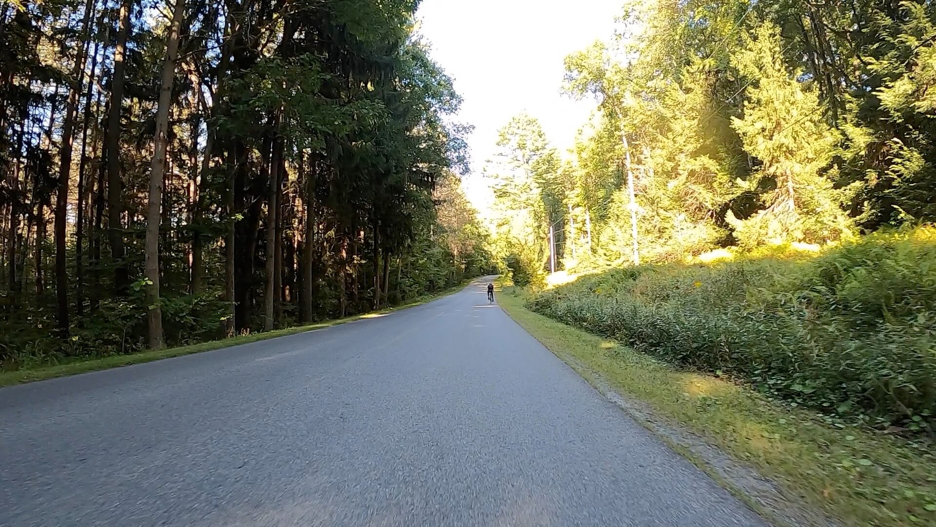 Public Lands Ride - 2020 - Parker Dam State Park-Moshannon State Forest Route Terrain #10