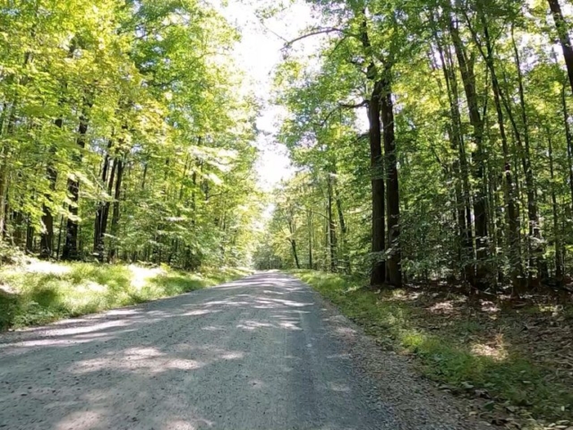 Public Lands Ride - 2020 - Parker Dam State Park-Moshannon State Forest Route Terrain #2