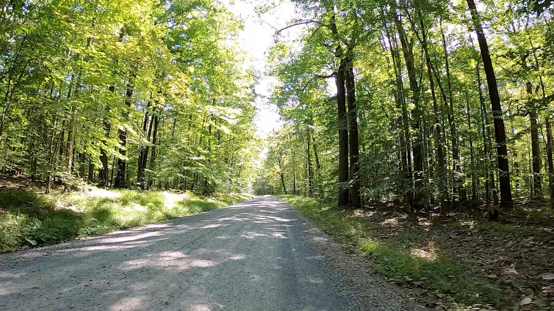 Public Lands Ride - 2020 - Parker Dam State Park-Moshannon State Forest Route Terrain #2