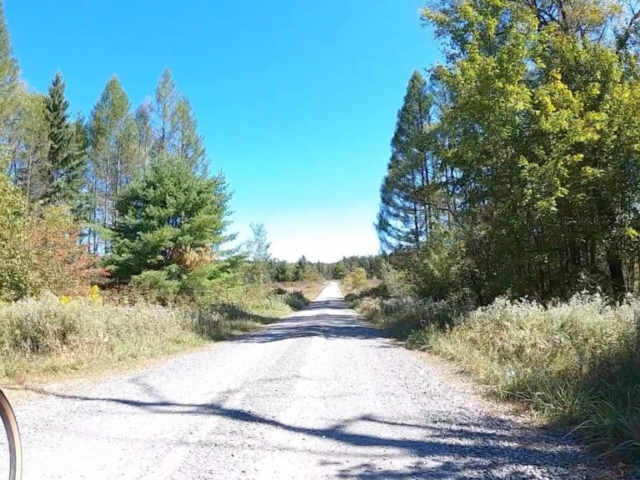 Public Lands Ride - 2020 - Parker Dam State Park-Moshannon State Forest Route Terrain #3