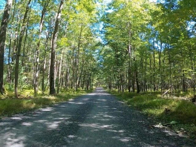 Public Lands Ride - 2020 - Parker Dam State Park-Moshannon State Forest Route Terrain #4