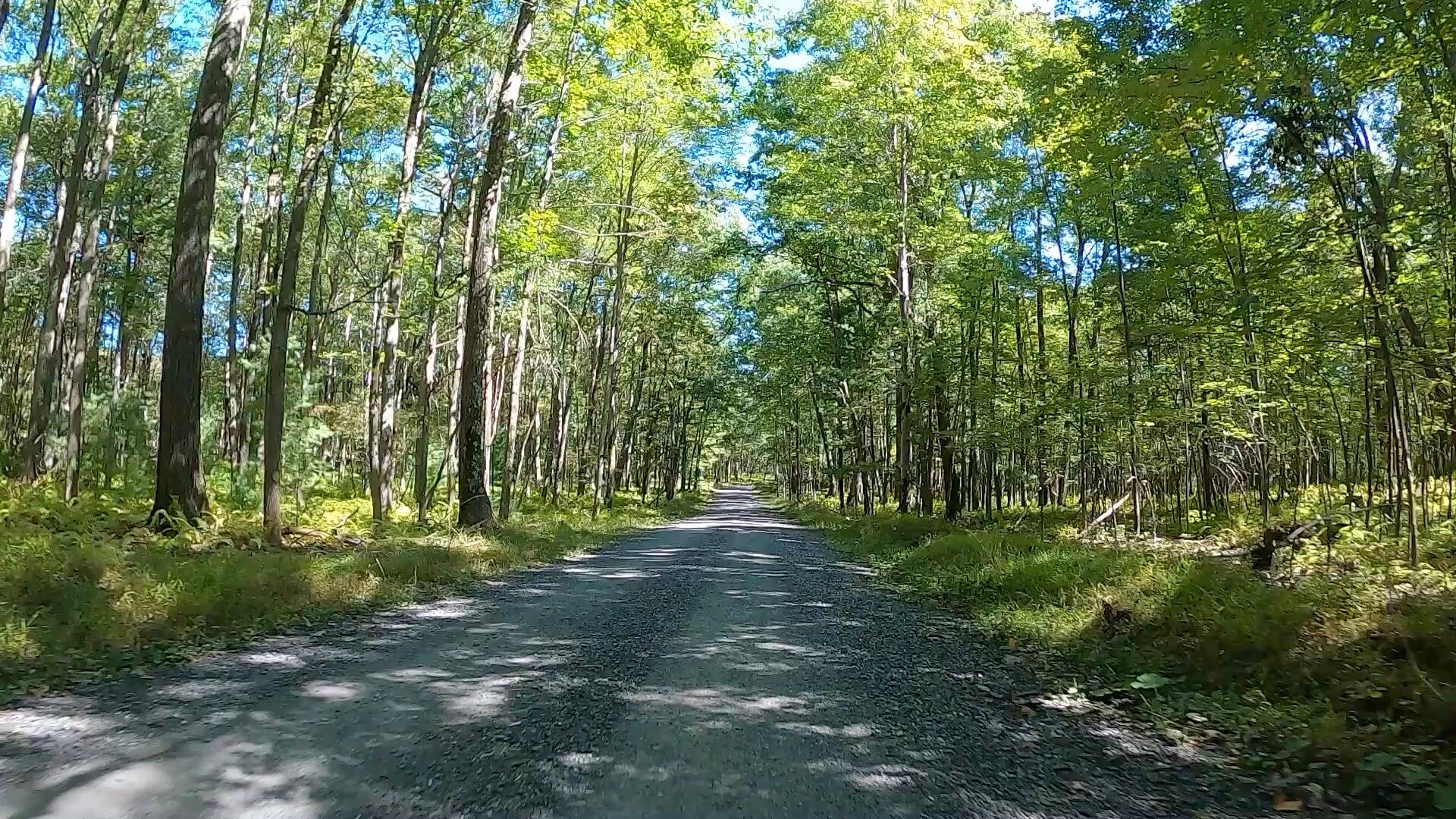 Public Lands Ride - 2020 - Parker Dam State Park-Moshannon State Forest Route Terrain #4