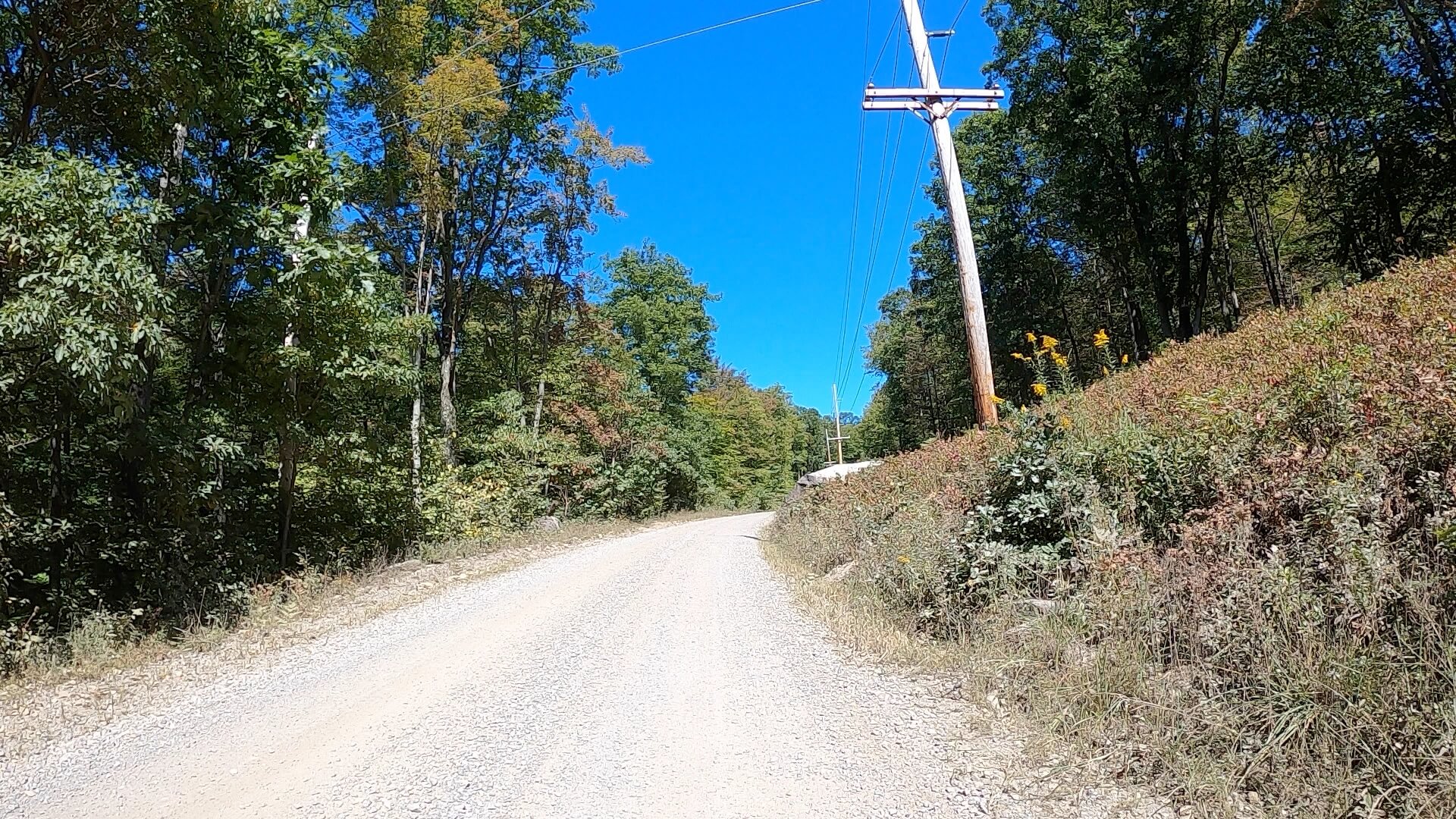 Public Lands Ride - 2020 - Parker Dam State Park-Moshannon State Forest Route Terrain #5