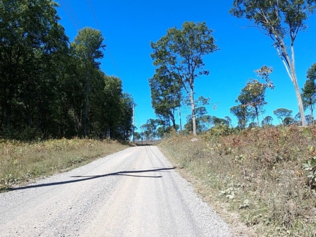 Public Lands Ride - 2020 - Parker Dam State Park-Moshannon State Forest Route Terrain #6