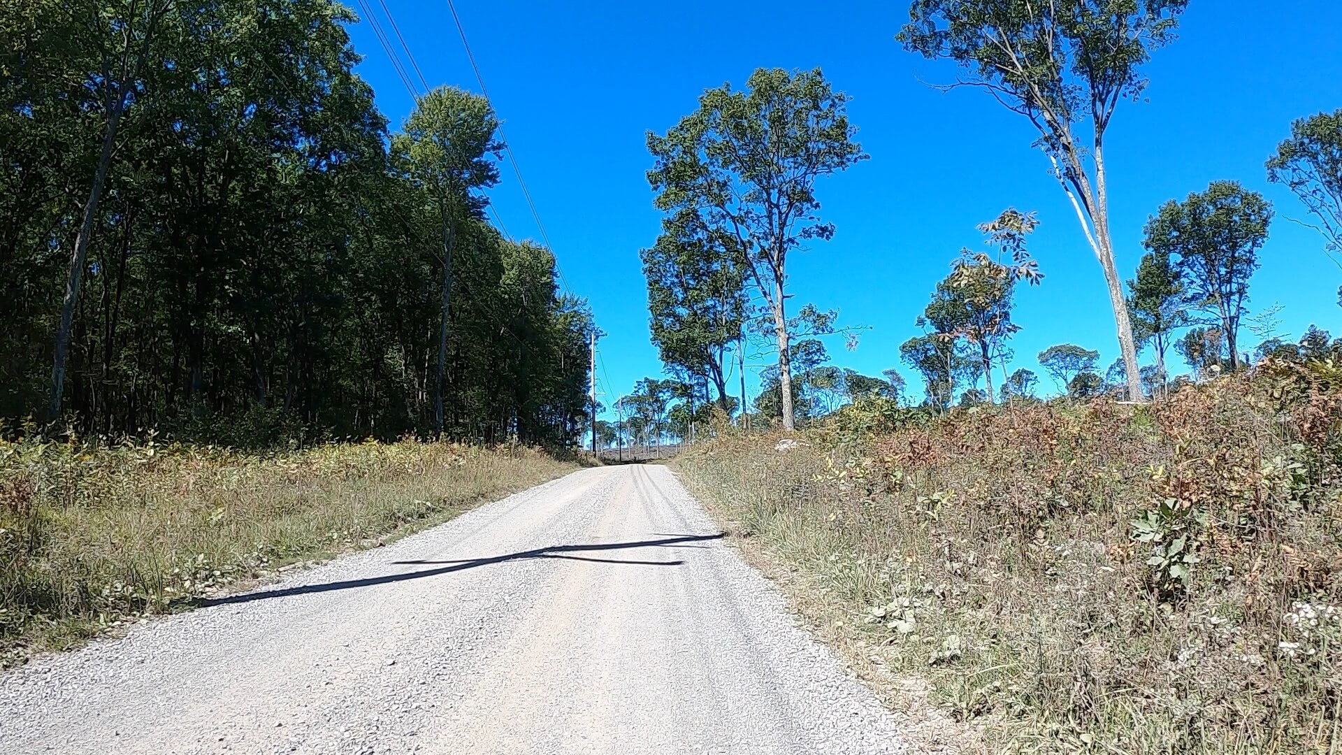 Public Lands Ride - 2020 - Parker Dam State Park-Moshannon State Forest Route Terrain #6