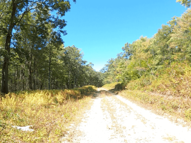 Public Lands Ride - 2020 - Parker Dam State Park-Moshannon State Forest Route Terrain #7