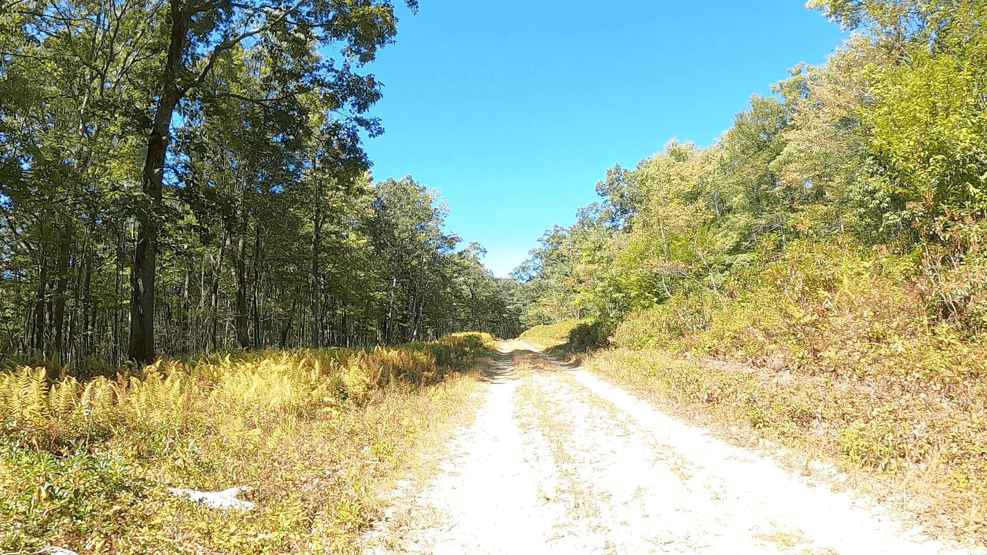 Public Lands Ride - 2020 - Parker Dam State Park-Moshannon State Forest Route Terrain #7