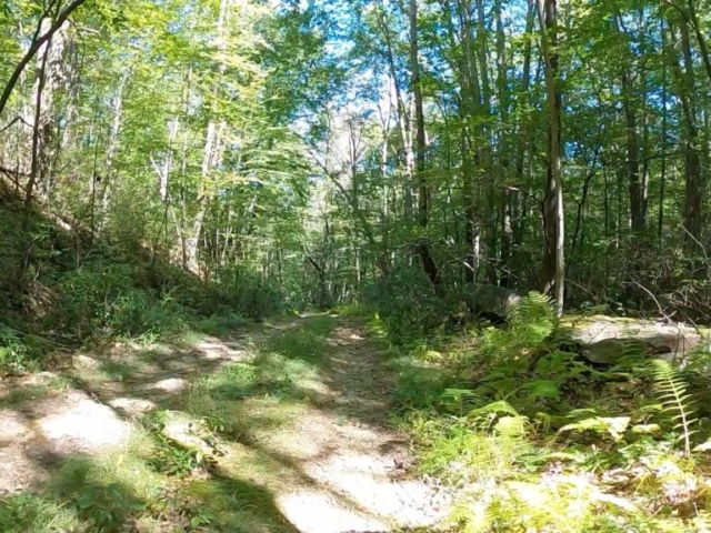 Public Lands Ride - 2020 - Parker Dam State Park-Moshannon State Forest Route Terrain #8