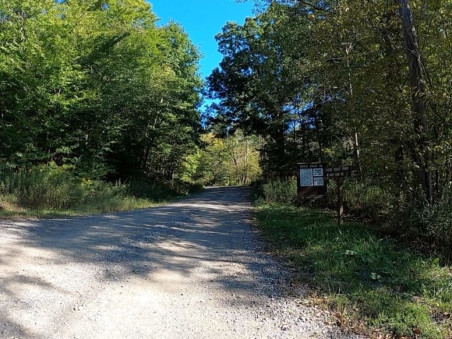 Public Lands Ride - 2020 - Parker Dam State Park-Moshannon State Forest Route Terrain #9