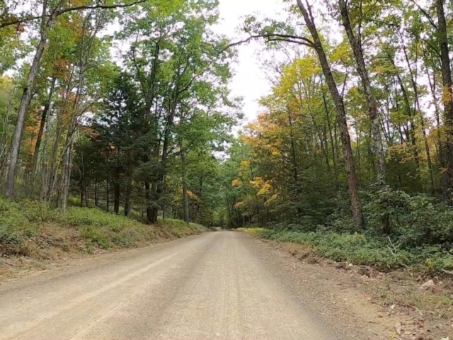 Public Lands Ride - 2020- R.B. Winter State Park-Bald Eagle State Forest- Terrain #1