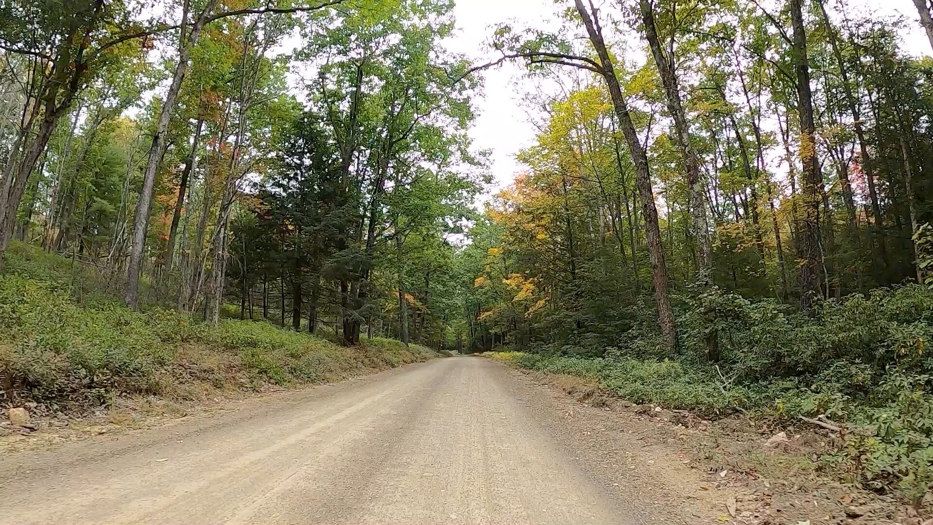 Public Lands Ride - 2020- R.B. Winter State Park-Bald Eagle State Forest- Terrain #1