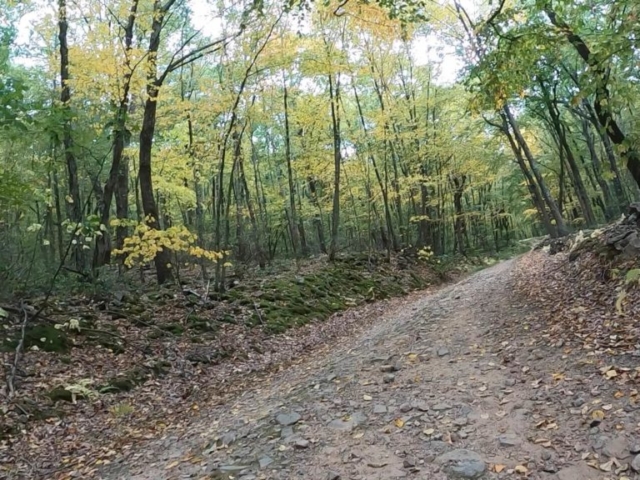 Public Lands Ride - 2020- R.B. Winter State Park-Bald Eagle State Forest- Terrain #10