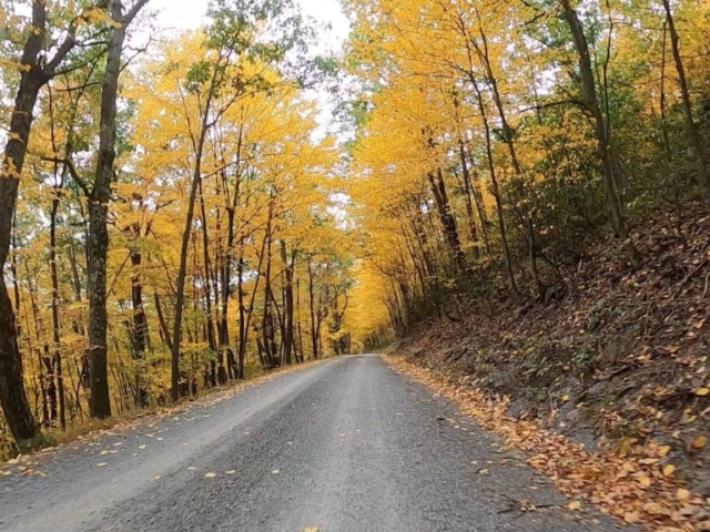 Public Lands Ride - 2020- R.B. Winter State Park-Bald Eagle State Forest- Terrain #11