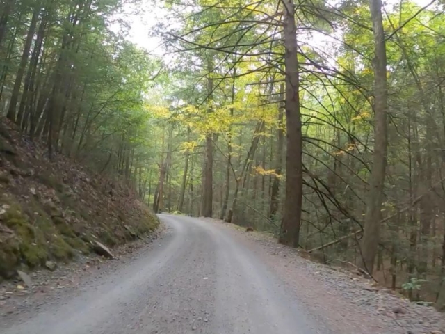 Public Lands Ride - 2020- R.B. Winter State Park-Bald Eagle State Forest- Terrain #12