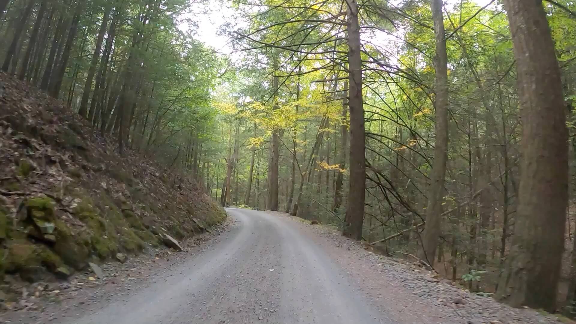 Public Lands Ride - 2020- R.B. Winter State Park-Bald Eagle State Forest- Terrain #12