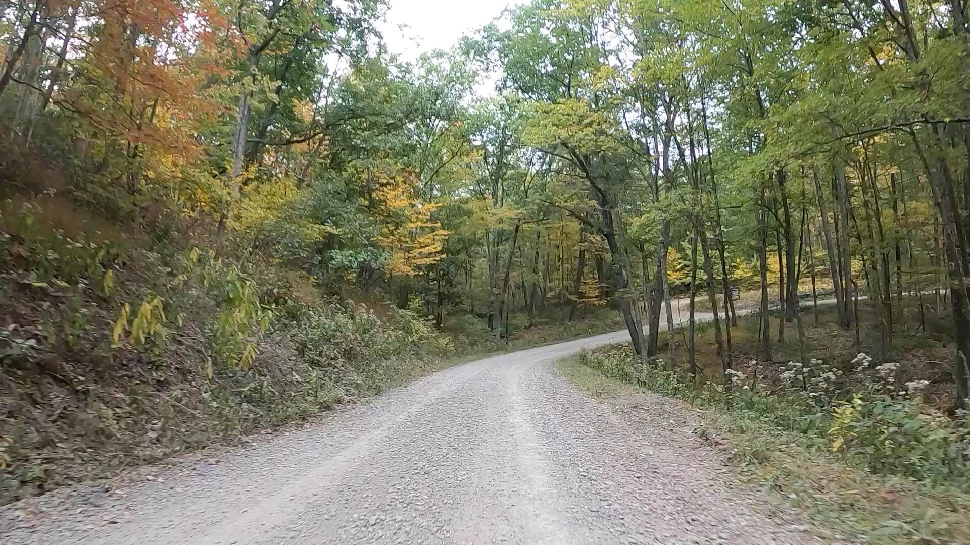 Public Lands Ride - 2020- R.B. Winter State Park-Bald Eagle State Forest- Terrain #13