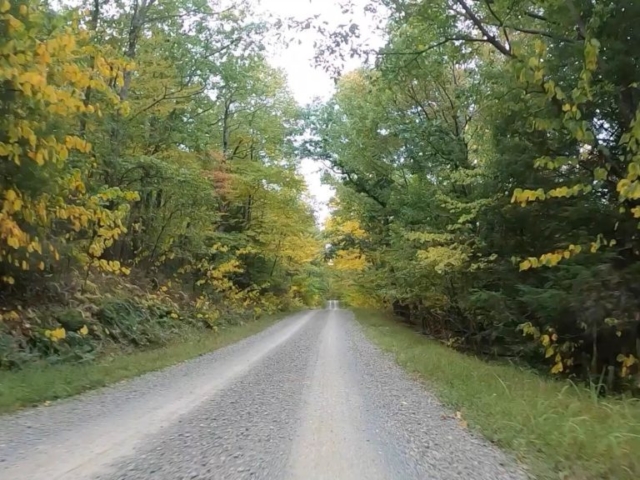 Public Lands Ride - 2020- R.B. Winter State Park-Bald Eagle State Forest- Terrain #14