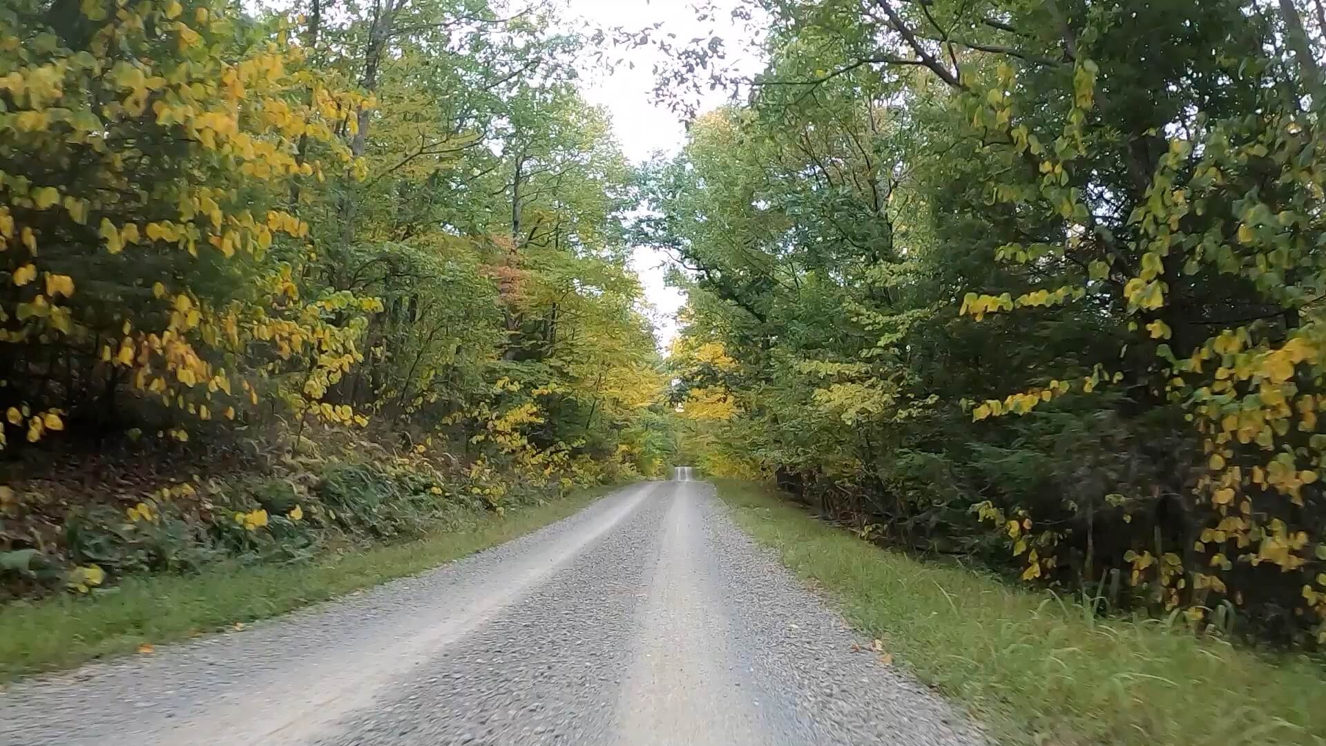 Public Lands Ride - 2020- R.B. Winter State Park-Bald Eagle State Forest- Terrain #14