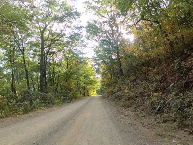 Public Lands Ride - 2020- R.B. Winter State Park-Bald Eagle State Forest- Terrain #15